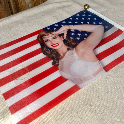 Lana’s Hope for America Mini American Flag