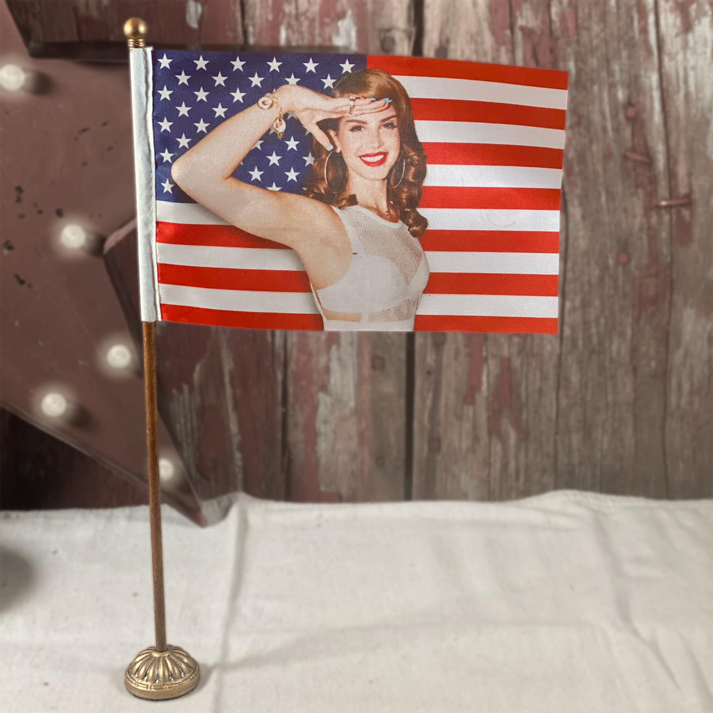 Lana’s Hope for America Mini American Flag