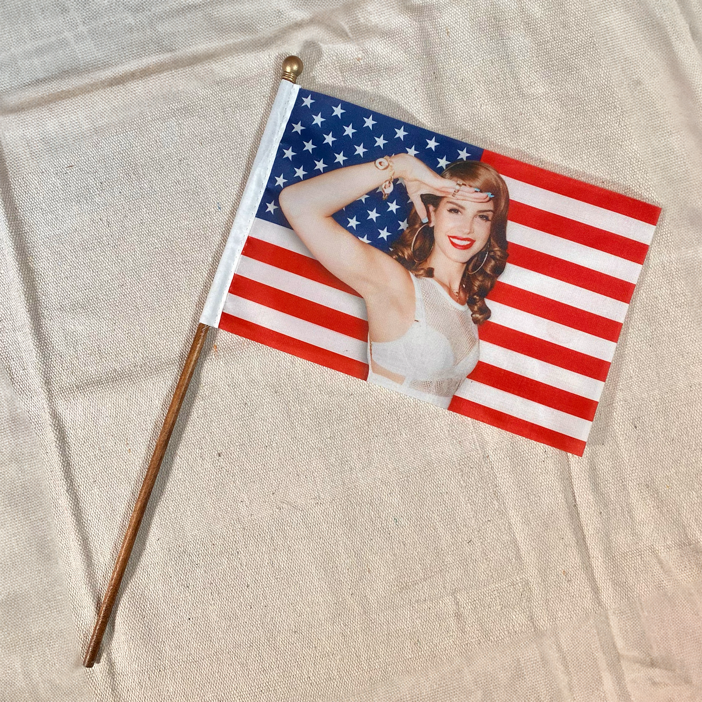 Lana’s Hope for America Mini American Flag