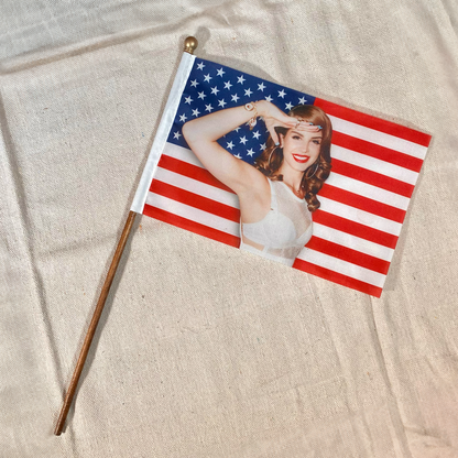 Lana’s Hope for America Mini American Flag