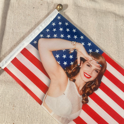 Lana’s Hope for America Mini American Flag