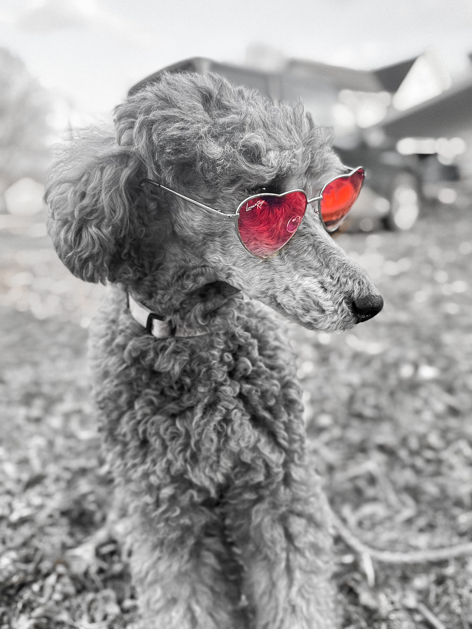 Del Rey Ban Heart-Shaped Sunglasses