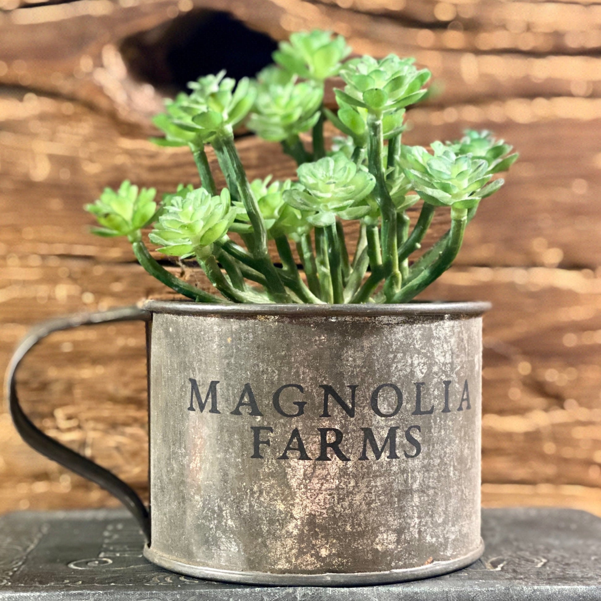 Vintage Planter Pots